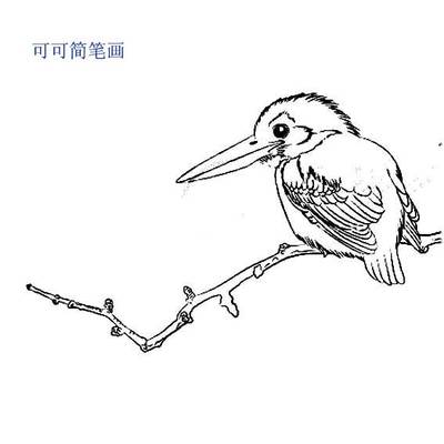 儿童简笔画翠鸟_儿童简笔画翠鸟图片大全