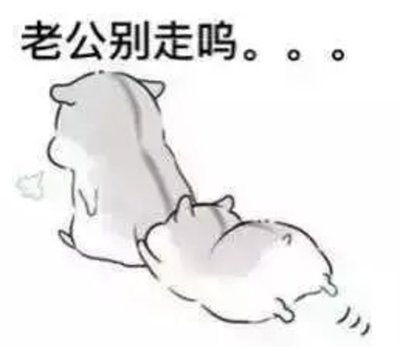可爱呆萌表情包仓鼠
