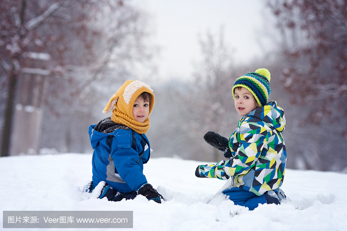 两个男孩,兄弟,在雪地上玩雪球