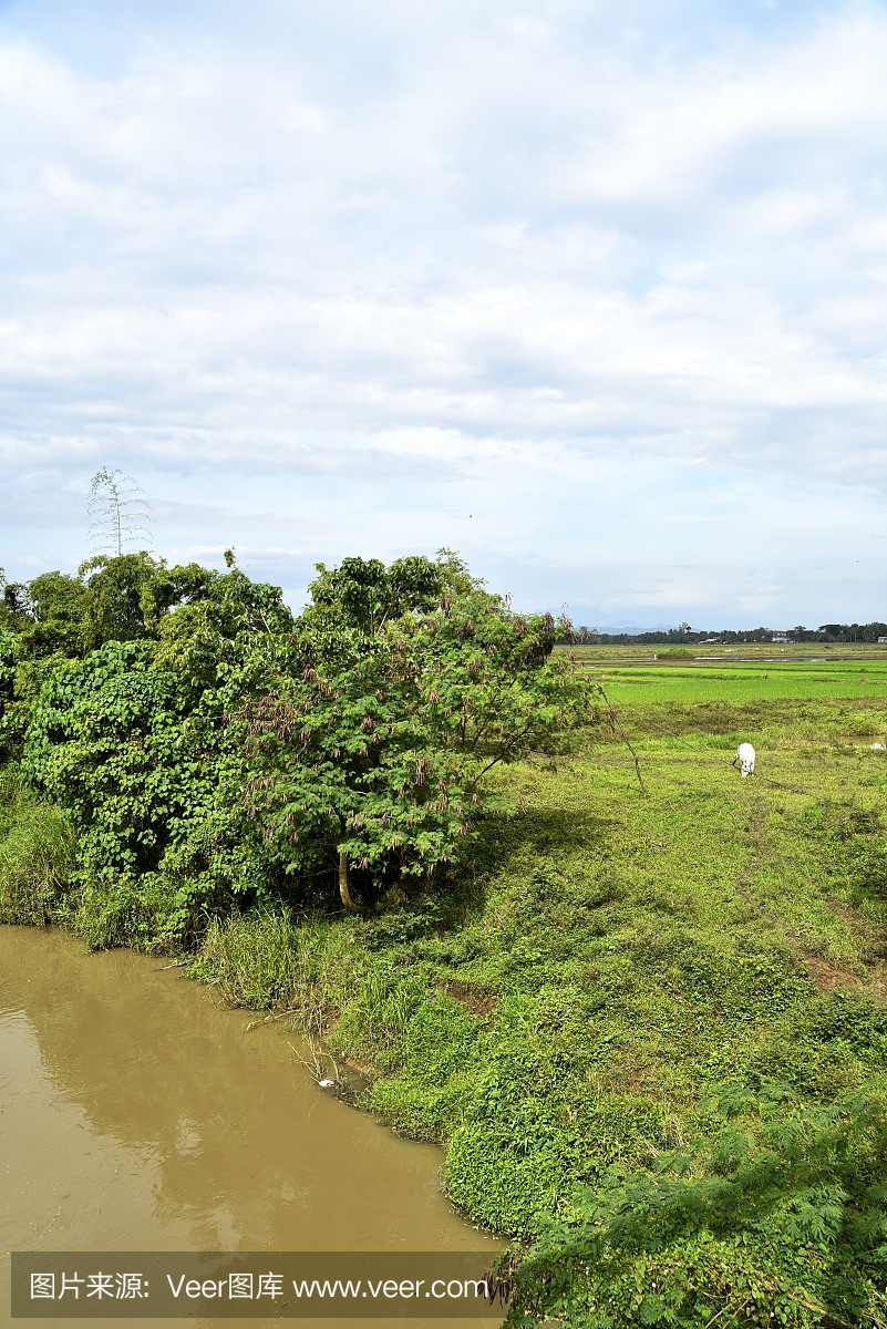 圣地亚哥市观光,道路和城市景观,菲律宾稻田。