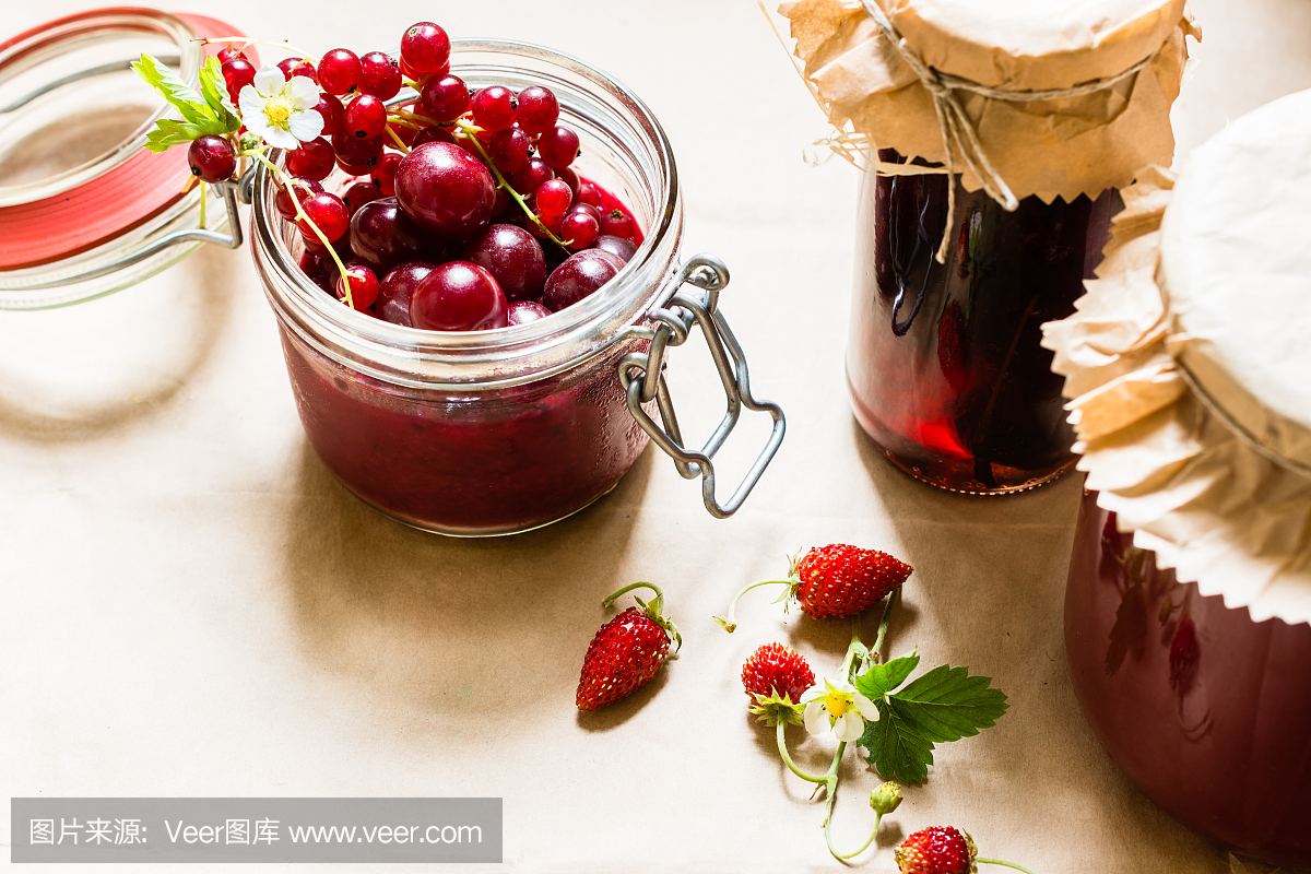 水果保存和原始草莓,樱桃和红醋栗浆果