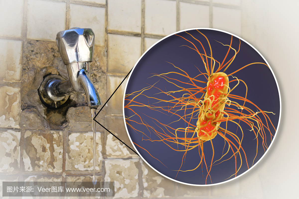 饮料,非洲,卫生,传染病