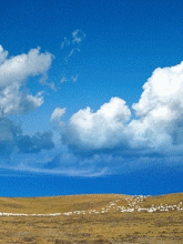 壁纸 草原 风景 摄影 桌面 165_220 gif 动态图 动图