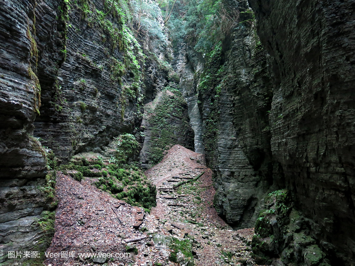 贝卢诺,贝卢诺地区,迷宫游戏,迷宫
