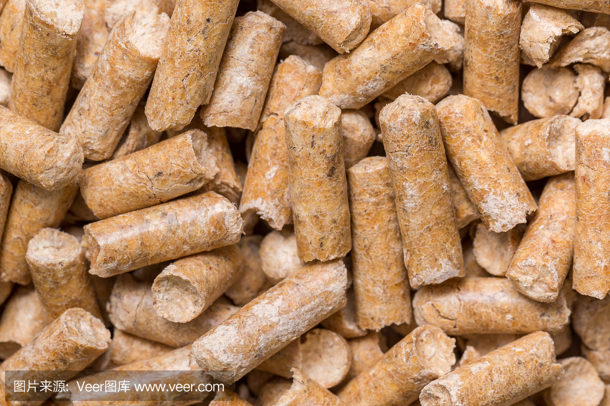 热,可生物降解材料,卫生间,猫科动物