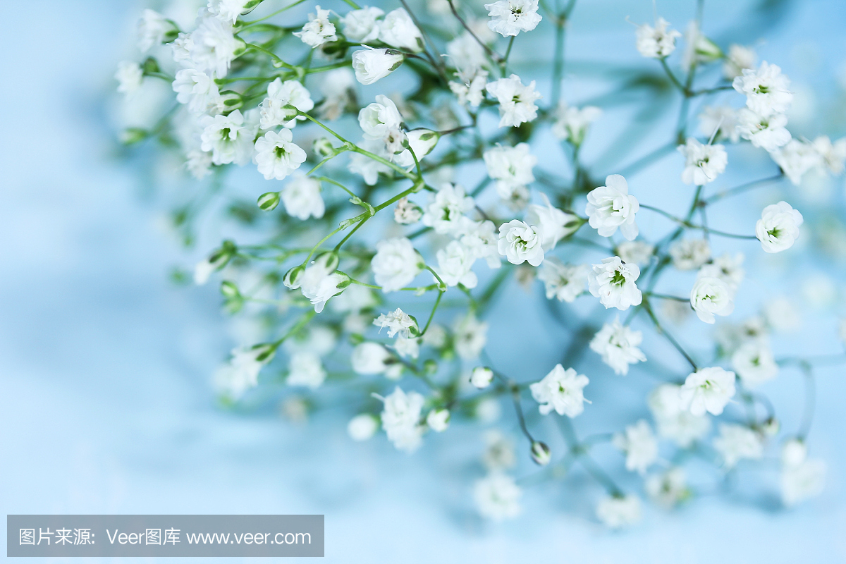 自然,选择对焦,留白,摄影