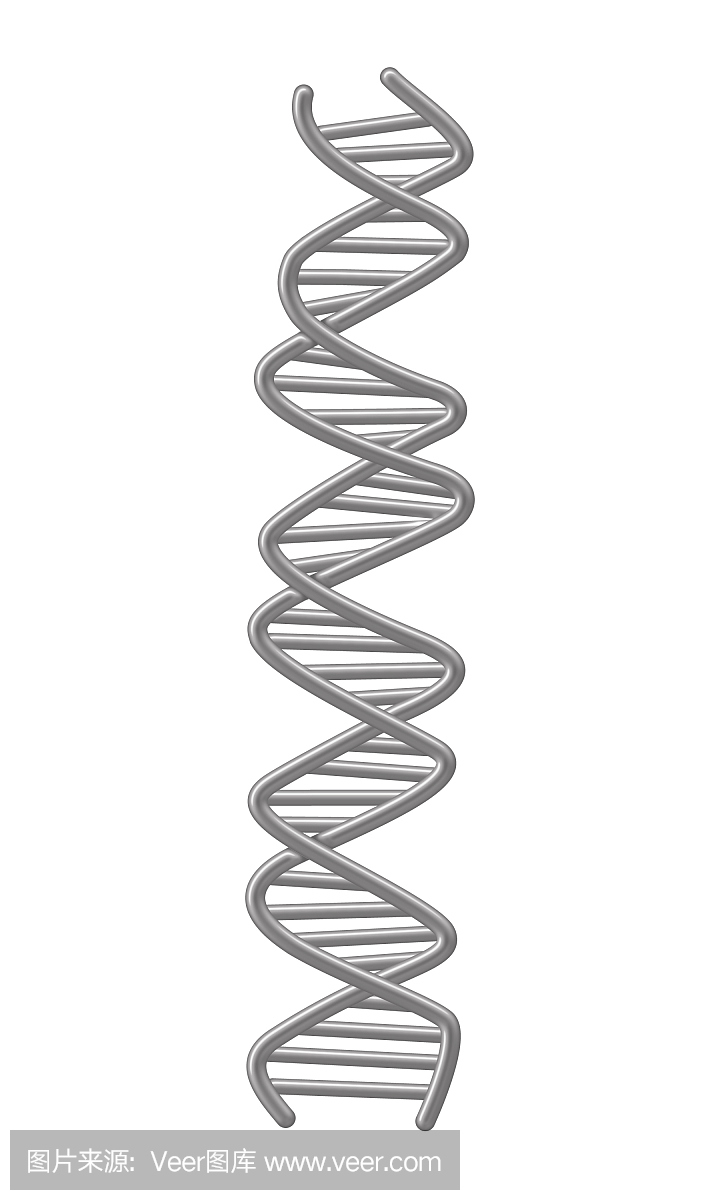 DNA测序,电泳的,电泳胶,DNA指纹
