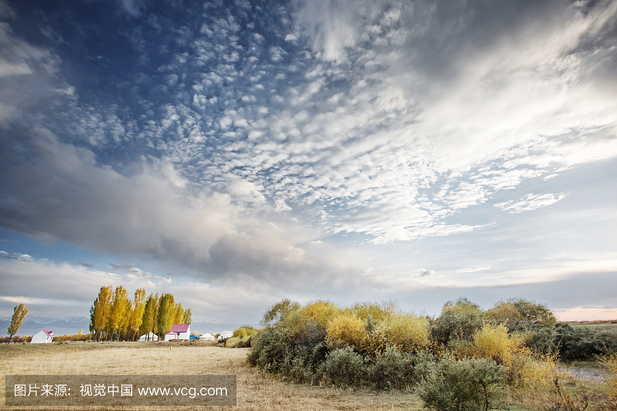 亚洲,欧洲,白色人种,新疆维吾尔自治区