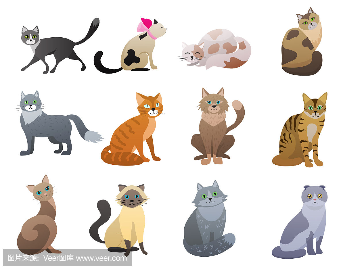 矢量图有趣和可爱的卡通猫不同品种的宠物字符