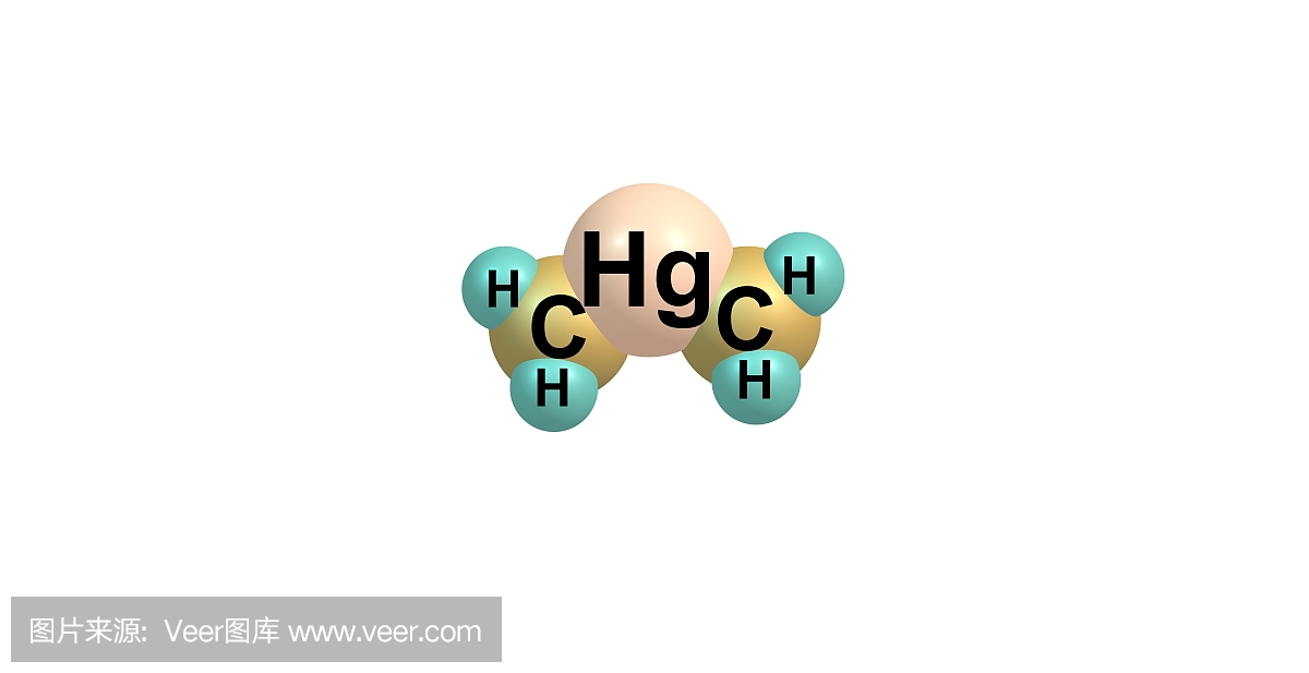 甲基汞_甲基汞性质