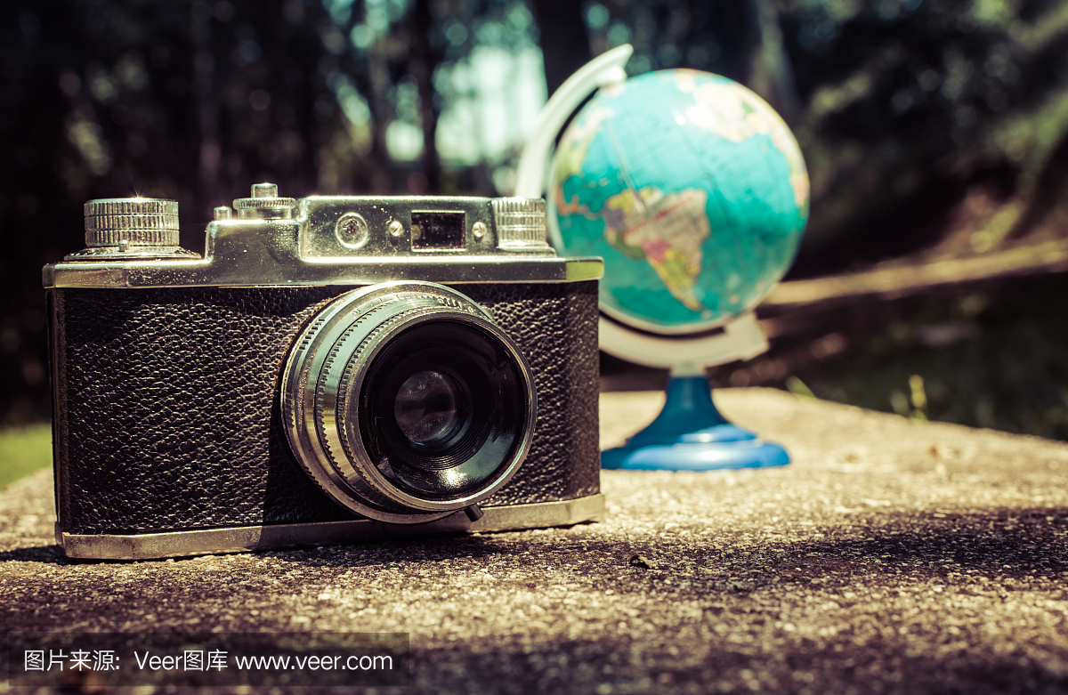 松果,松球,松树种子,模拟设备