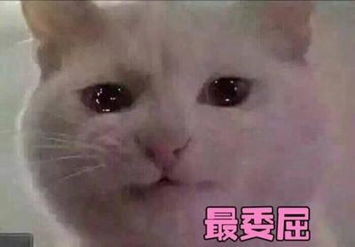 因爱受伤的你到底是有多委屈,萌萌哒表情包告