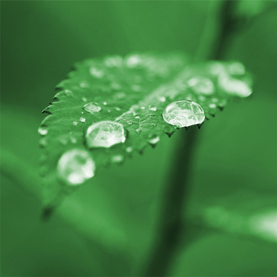 高清水滴唯美意境