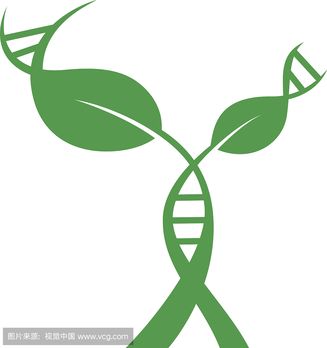脱氧核糖核酸,DNA,脱氧核糖,基因序列