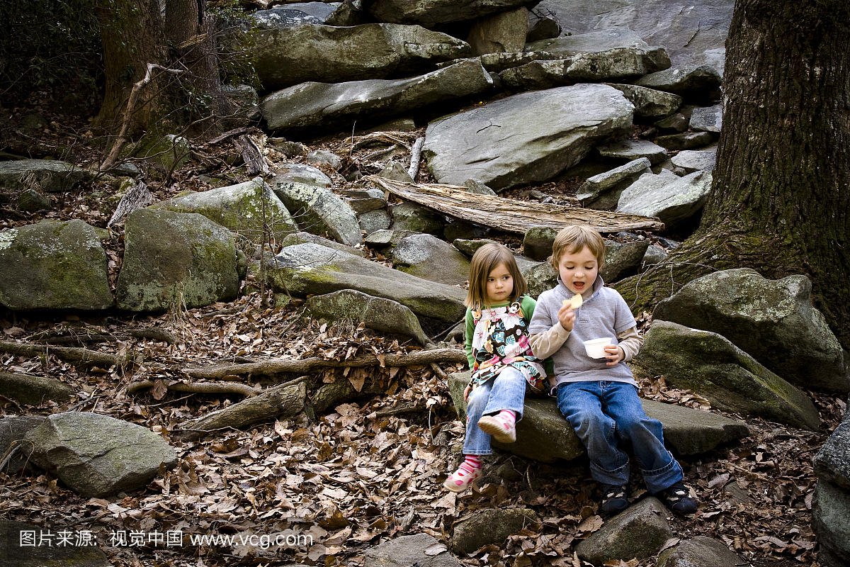 男孩,5岁,女孩,3岁,坐在美国格鲁吉亚森林的大