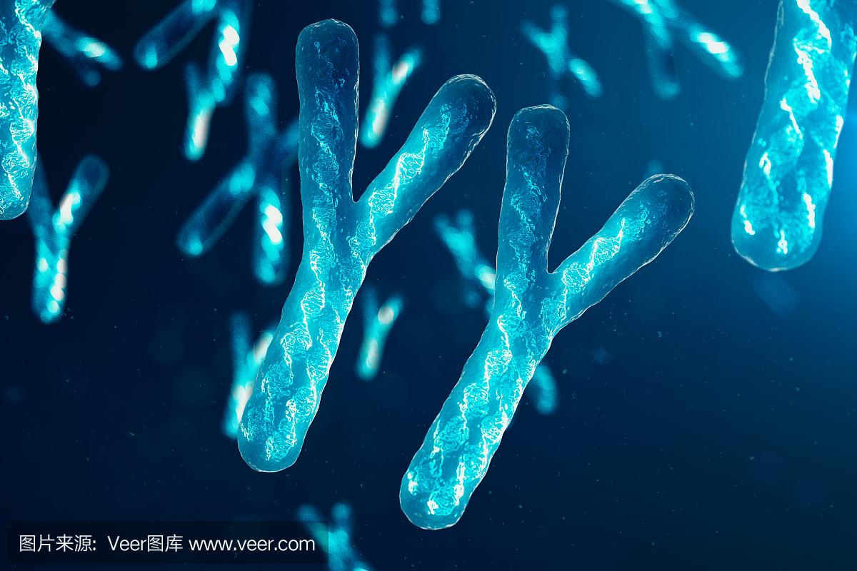 螺旋,显微镜,克隆,英文字母Y