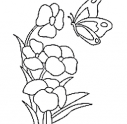 素描简笔画蝴蝶,儿童画蝴蝶图片大全_动物简笔-37kb