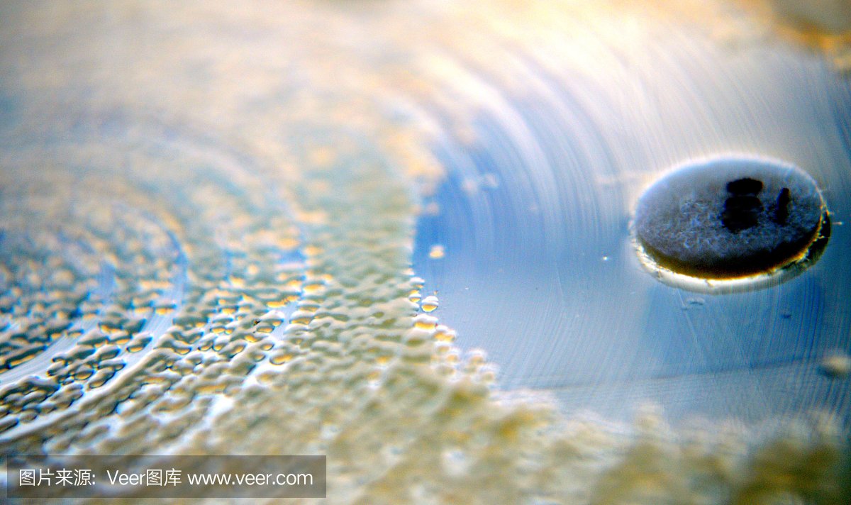 抗生素敏感性试验