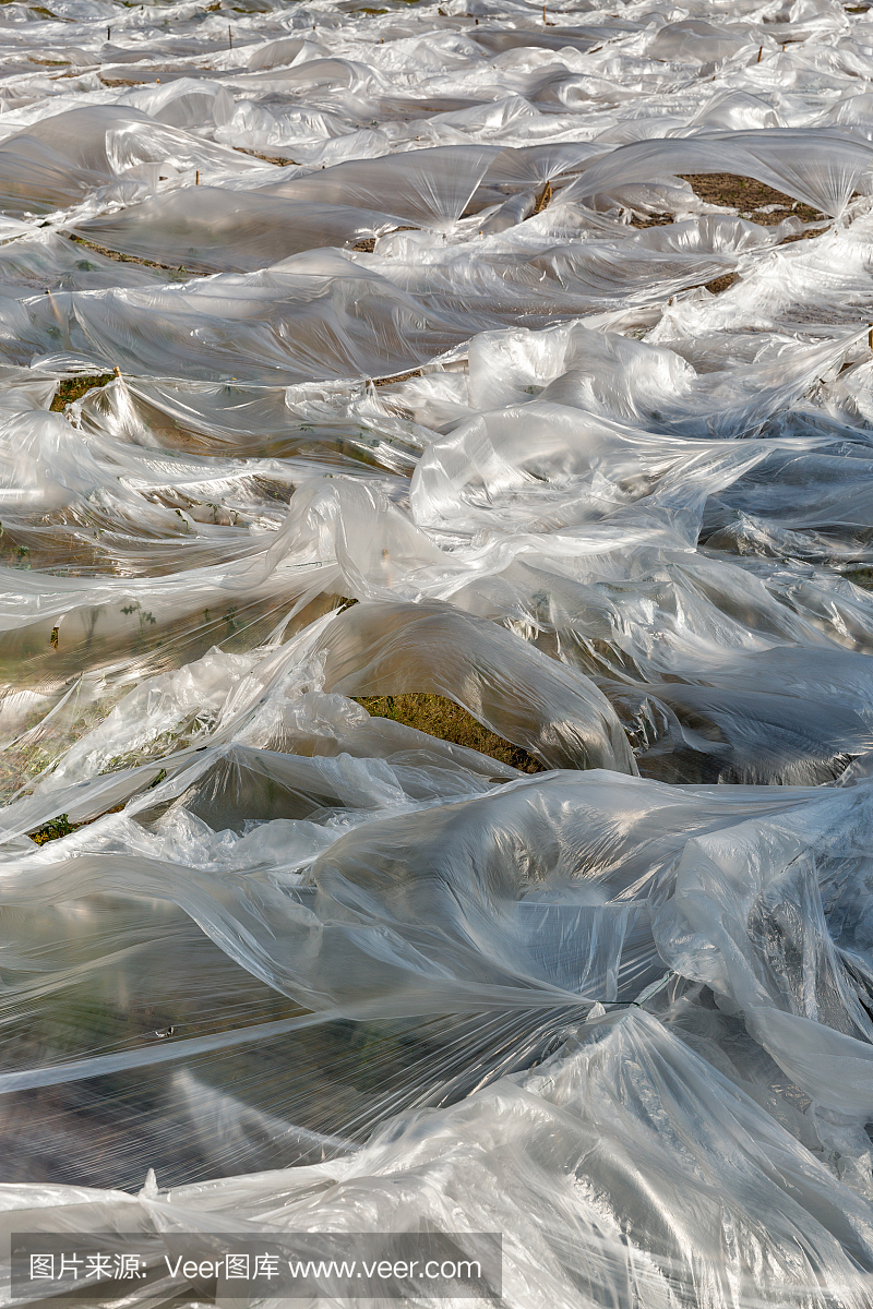 Abstract field covered by polyethylene