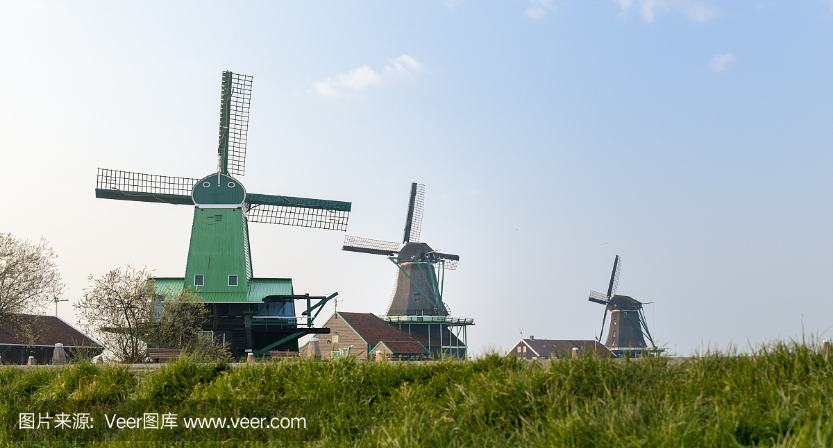三大传统荷兰风车在早晨