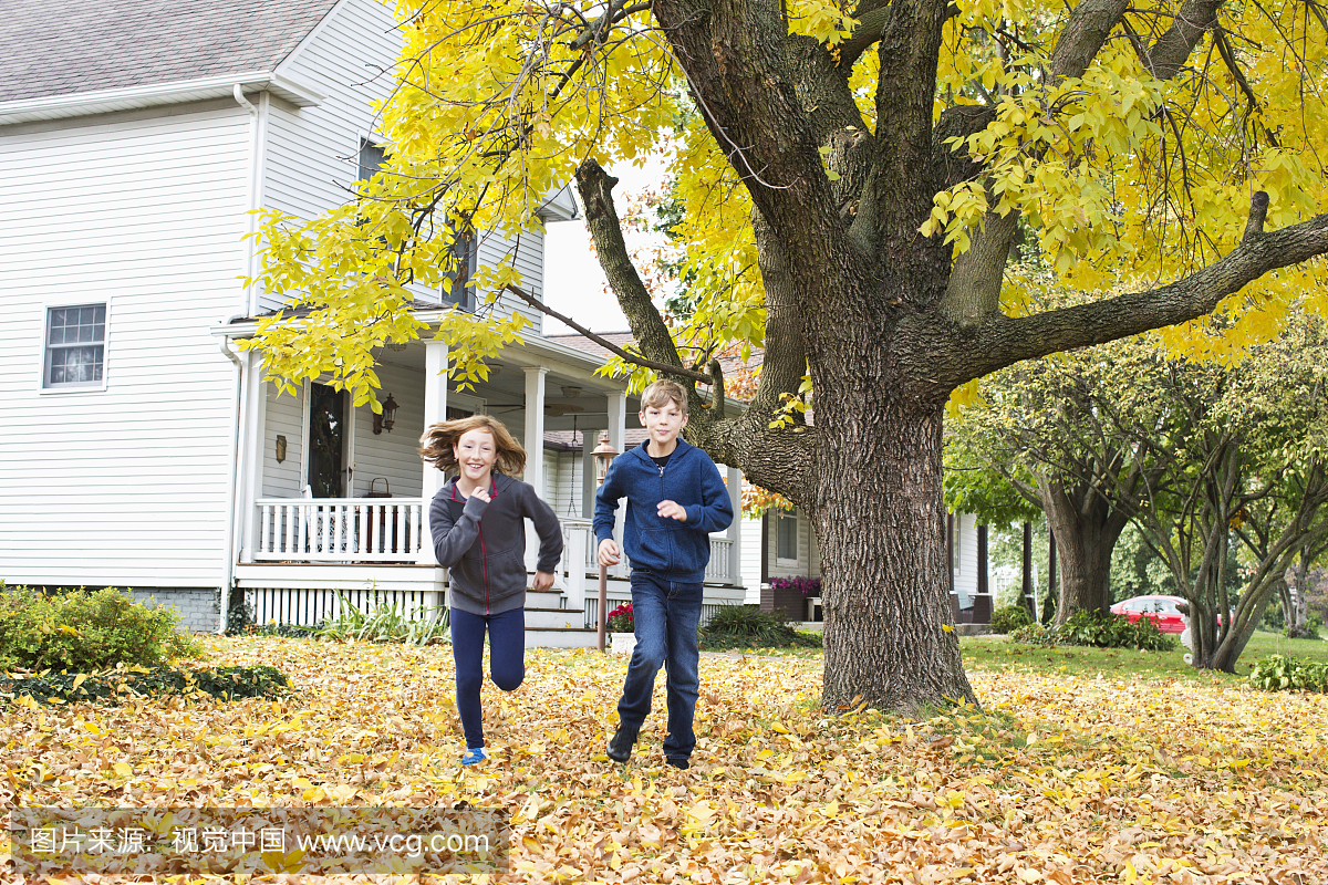 活力,伊利诺斯州,姐妹,兄弟