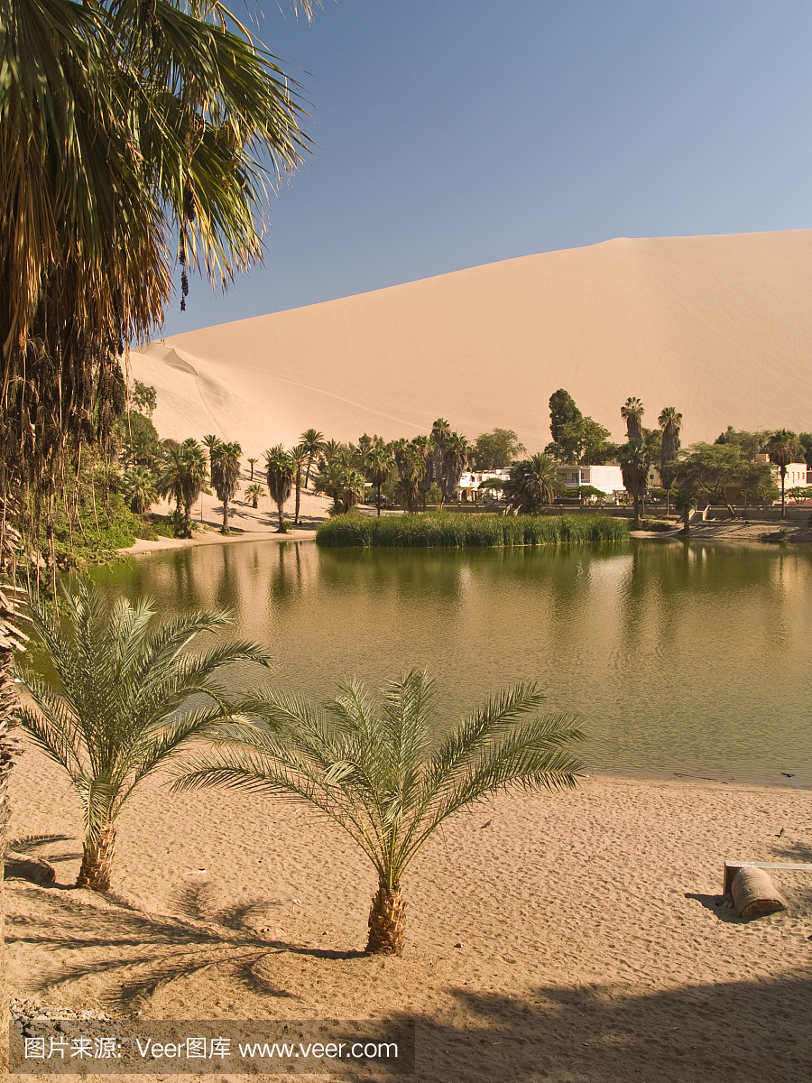 沙滩滑板,沙丘滑板,沙丘滑板游戏,沙漠绿洲