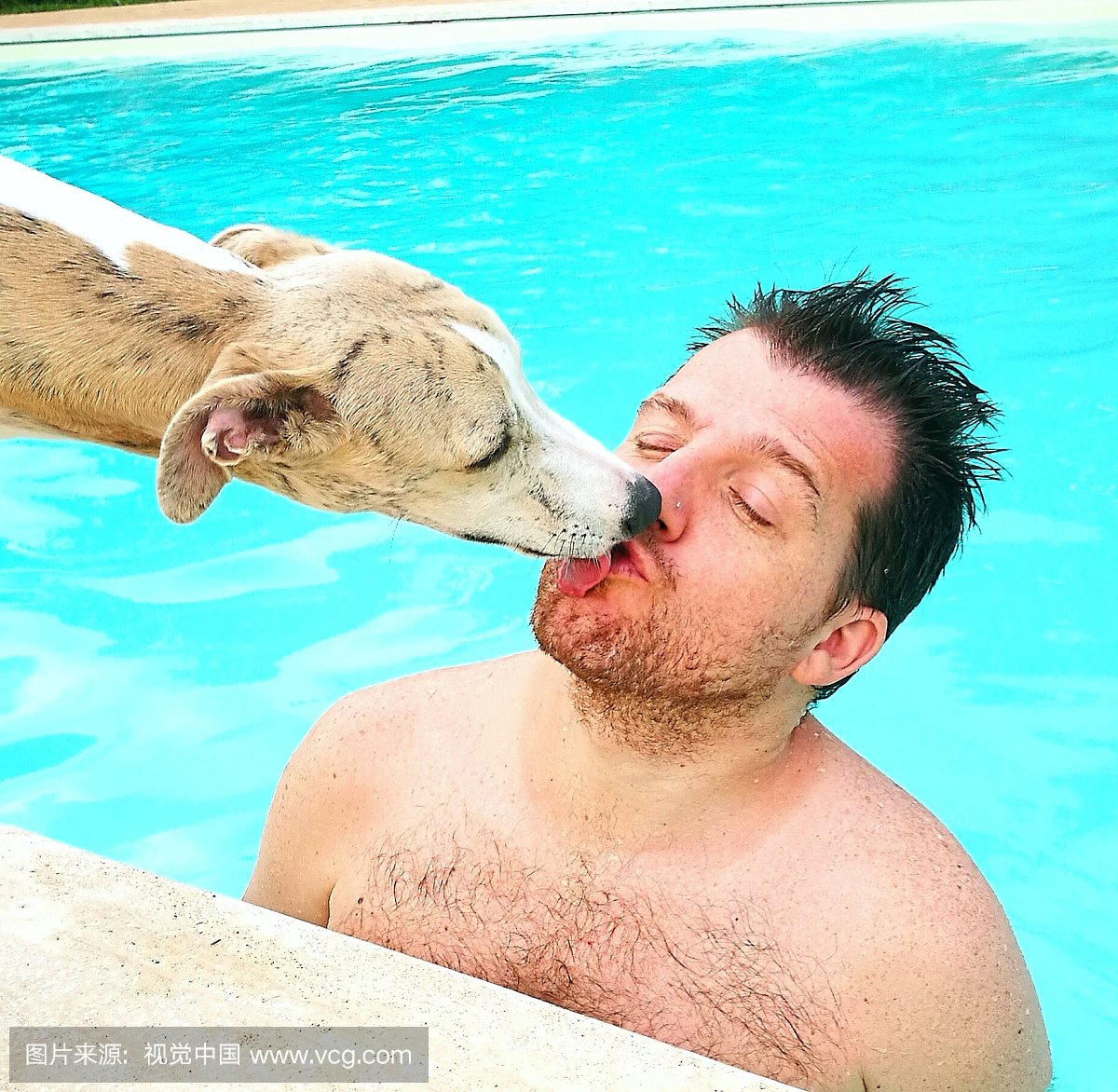 在游泳池亲吻狗的赤膊男子