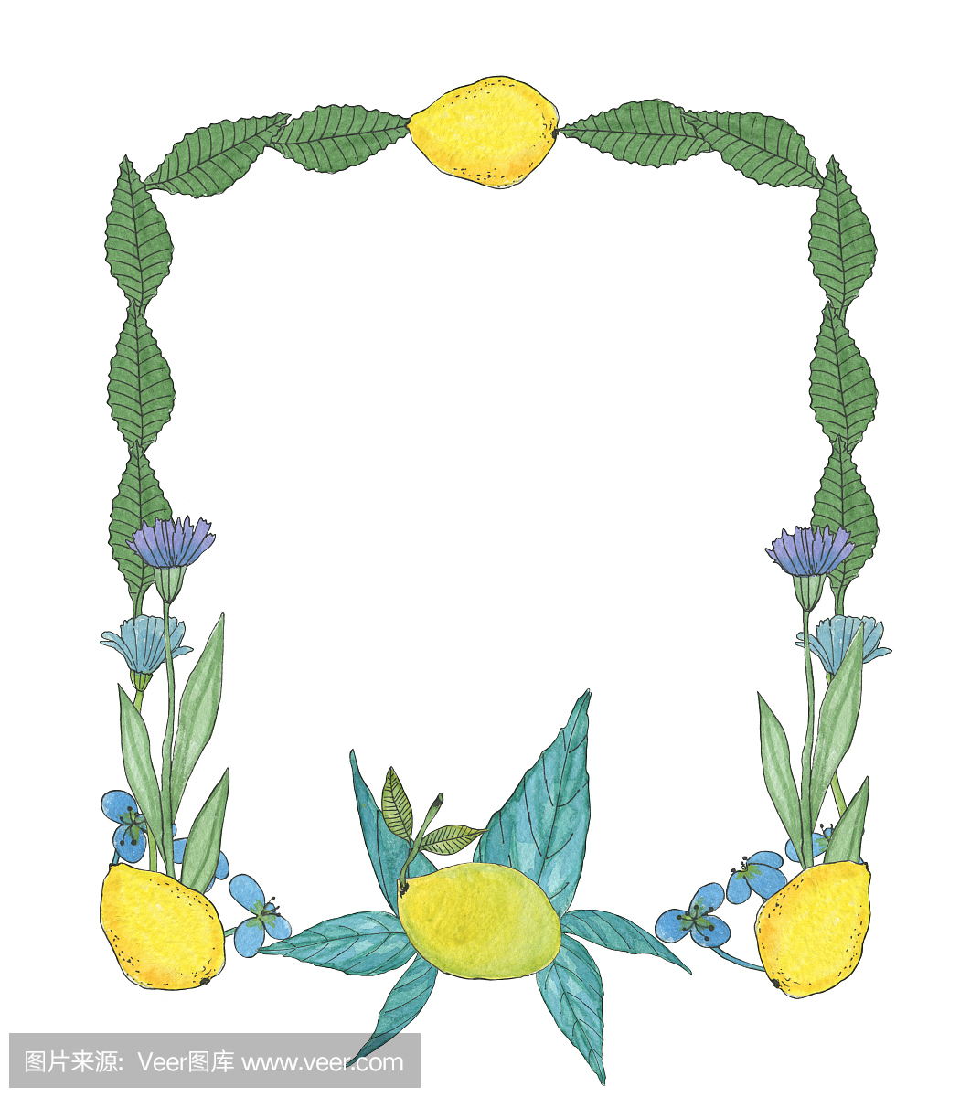由手绘热带花卉和柑橘类水果柠檬的框架