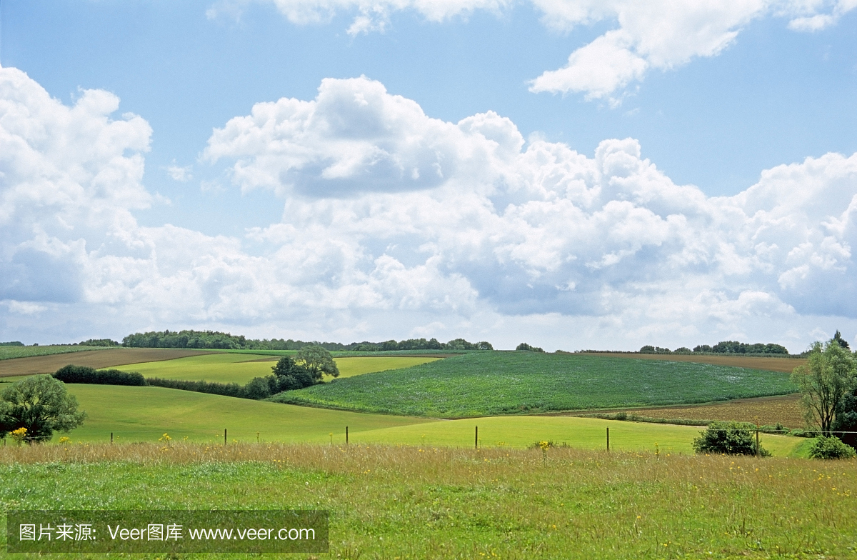 和平的比利时领域在春天