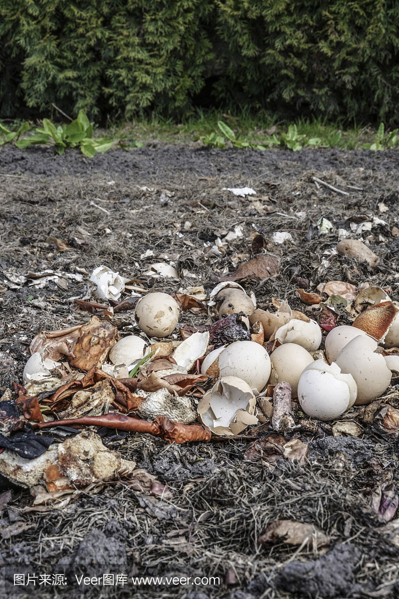 破碎的蛋壳回收为天然有机园艺肥料
