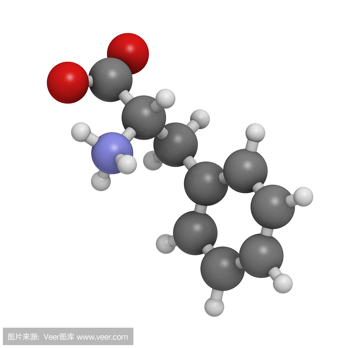 苯丙氨酸(Phe,F)氨基酸,分子模型。