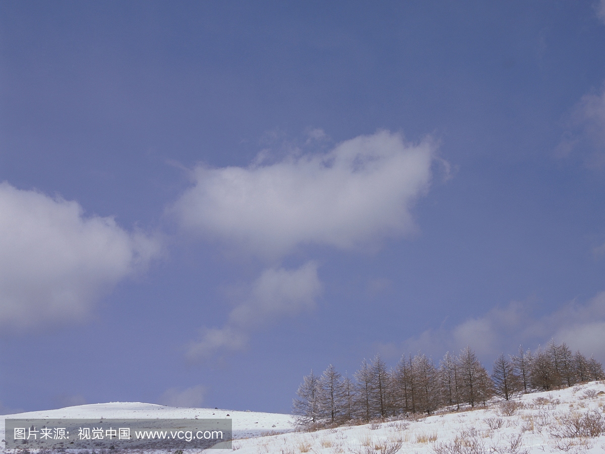 日本长野县的雪覆盖的田野