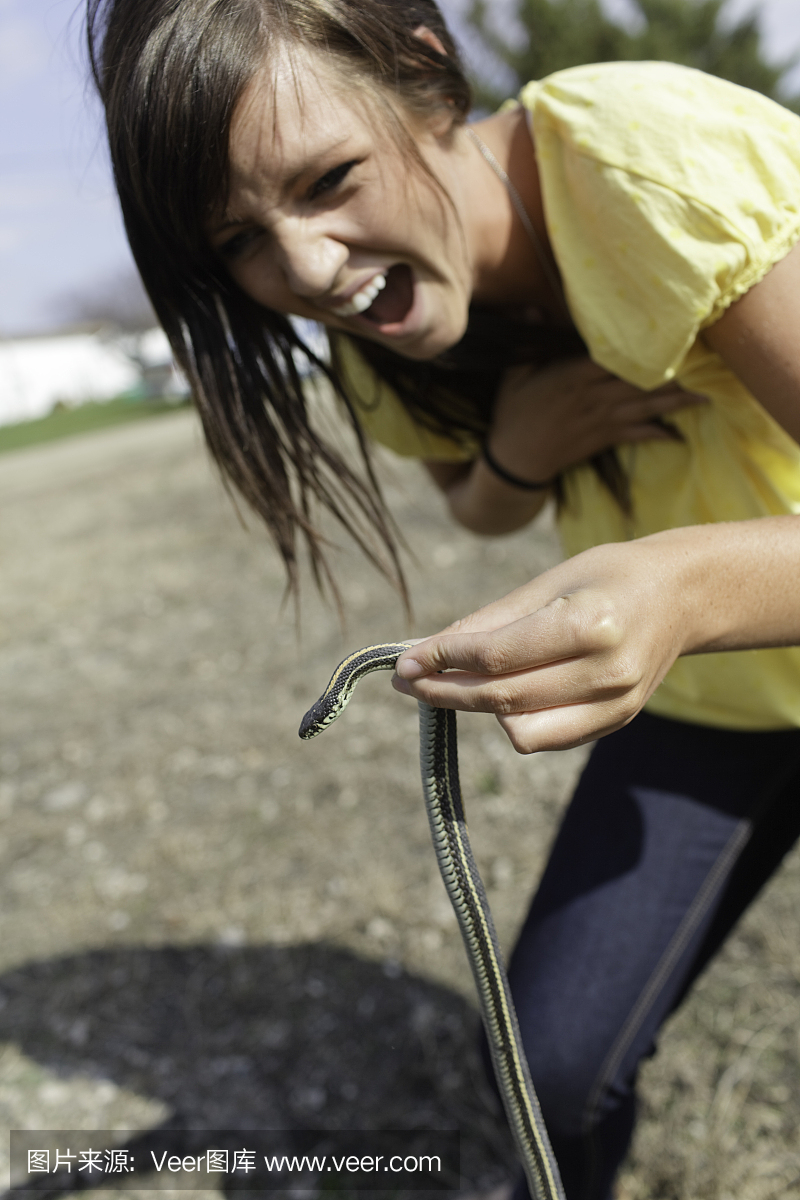 乌蛇,乌稍蛇,乌梢蛇,垂直画幅