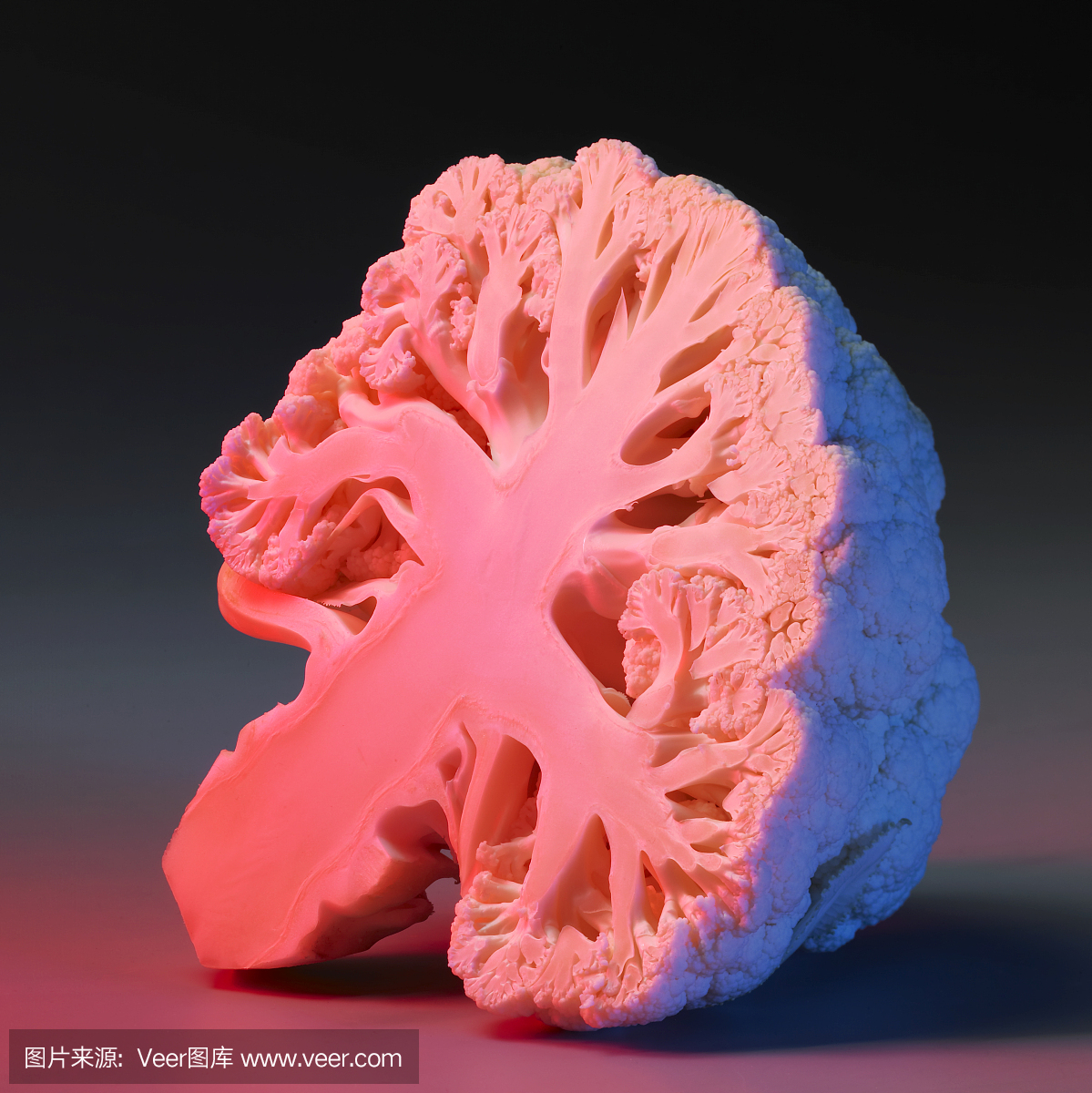 切成两分的,角的平分线,掰开,掰开的