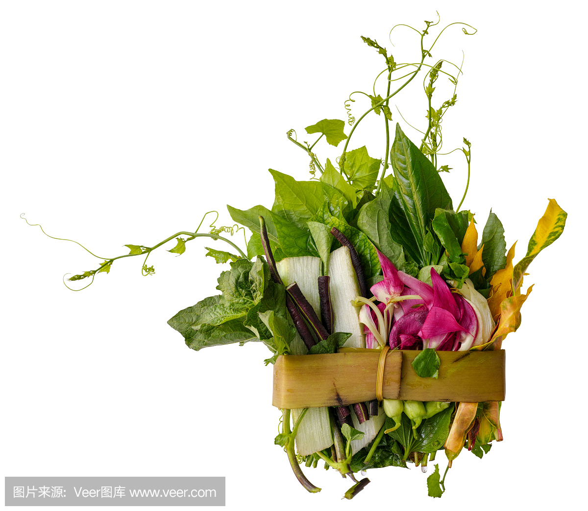 北泰国草药,香料和蔬菜,北泰国传统食谱称为高