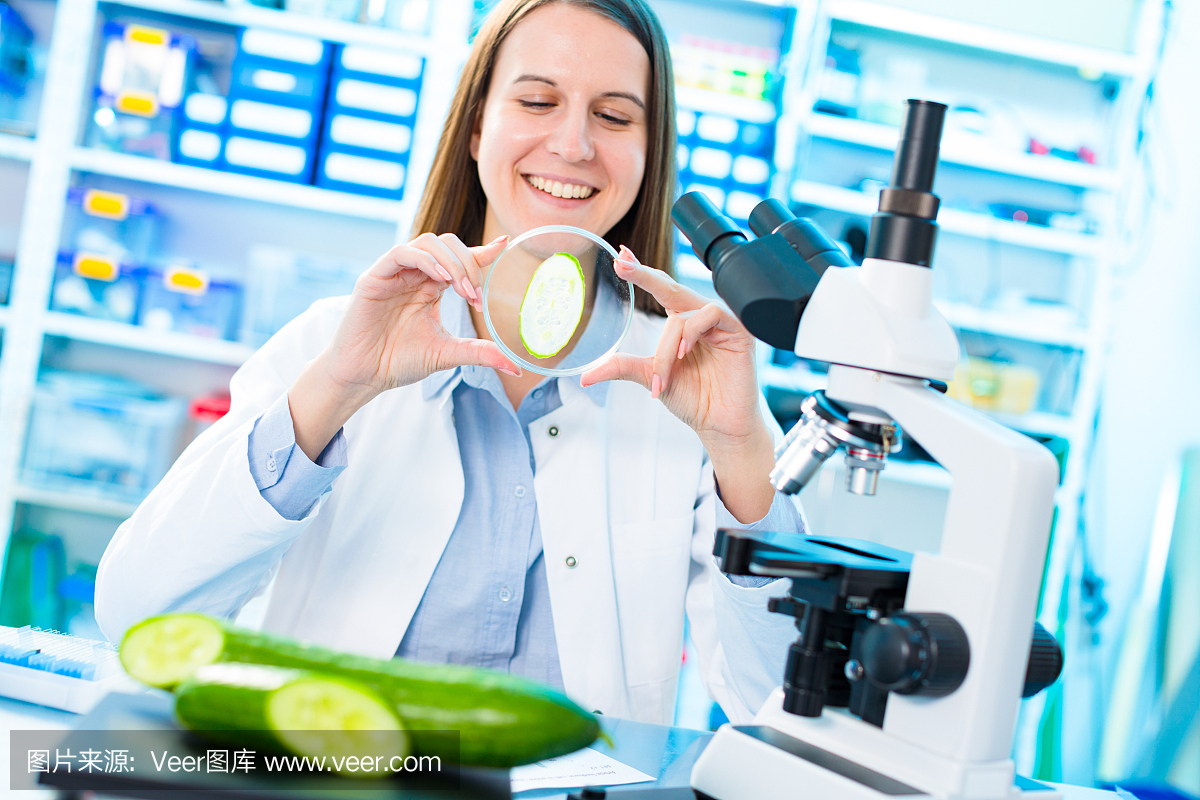 检查水果和蔬菜的有害元素。食品质量检验实验