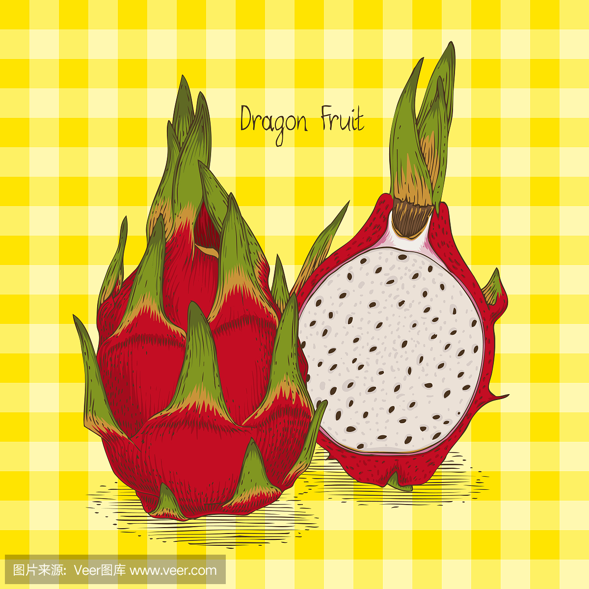 仙人掌果,仙人掌成果,皮塔雅,红龙果仙人掌