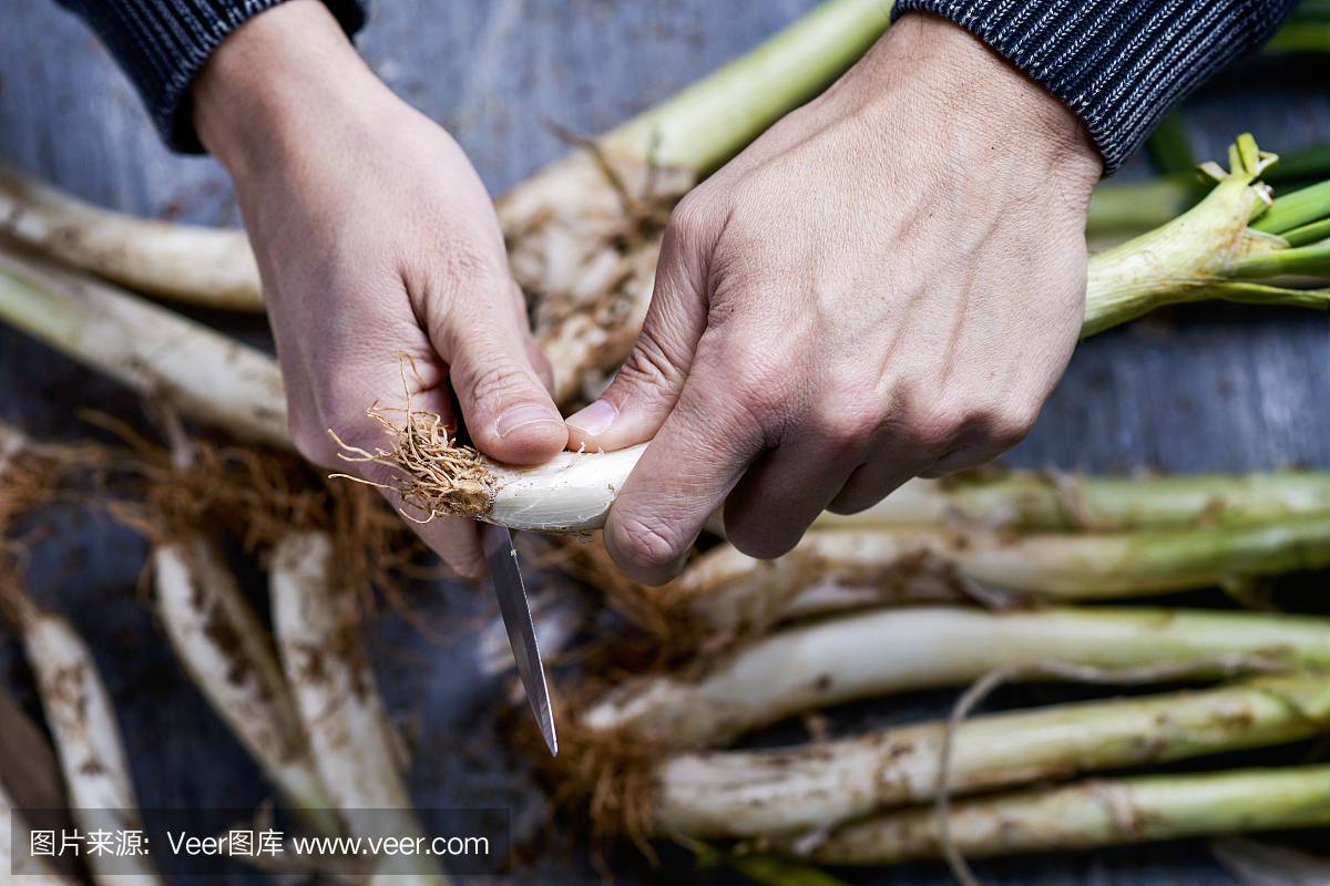 切割加泰罗尼亚,西班牙特点的男人
