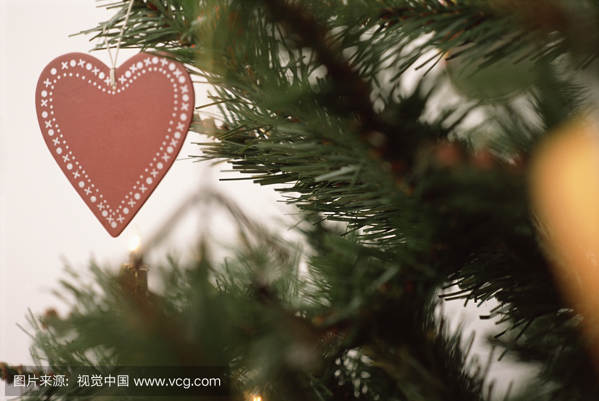 传统,红松,调味品,住宅内部