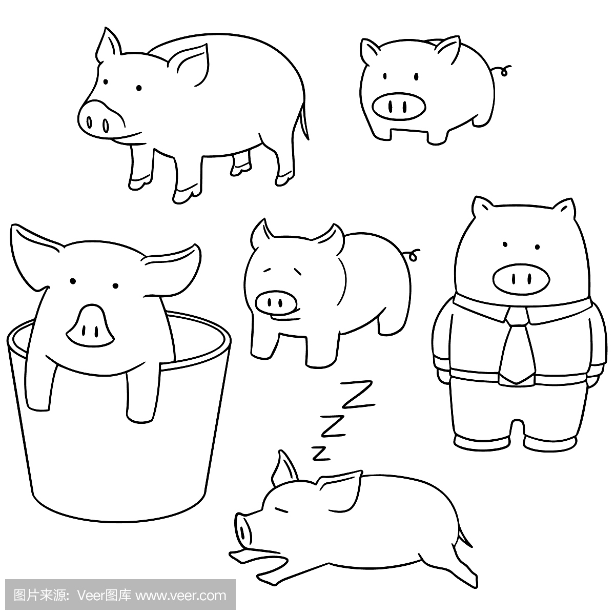 素描 一只猪|插画|插画习作|绿幽字 - 原创作品 - 站酷 (ZCOOL)