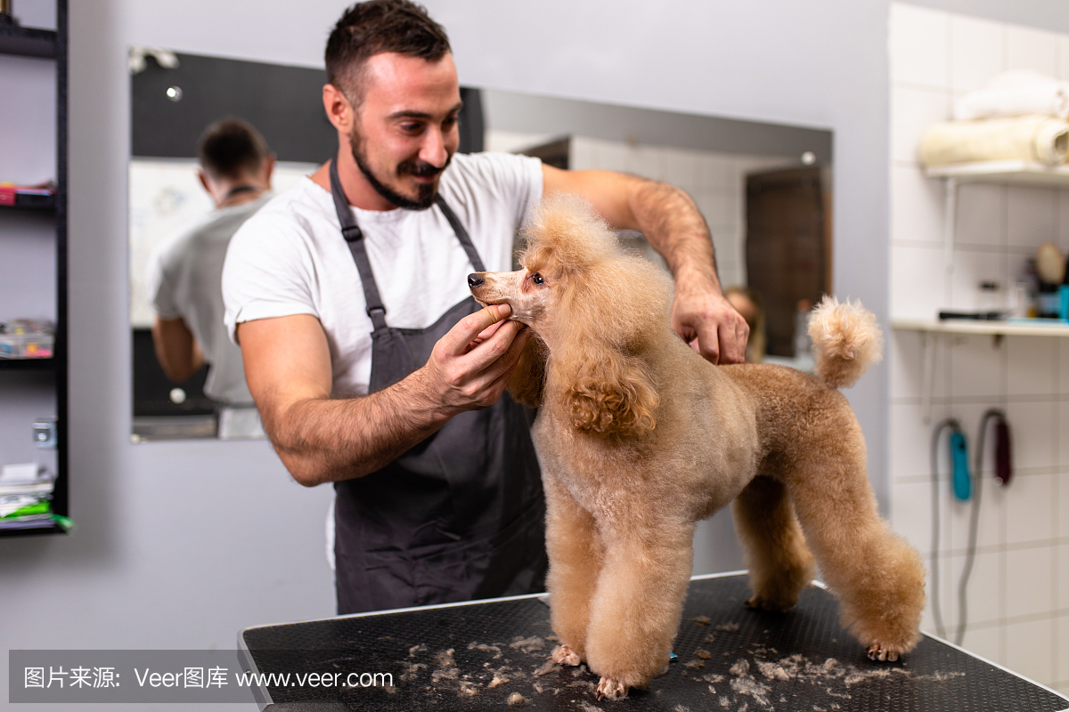 斩获36金9银4铜！七匹狼定制让中国队闪耀里昂开云体育- 开云体育官方网站- 开云体育APP