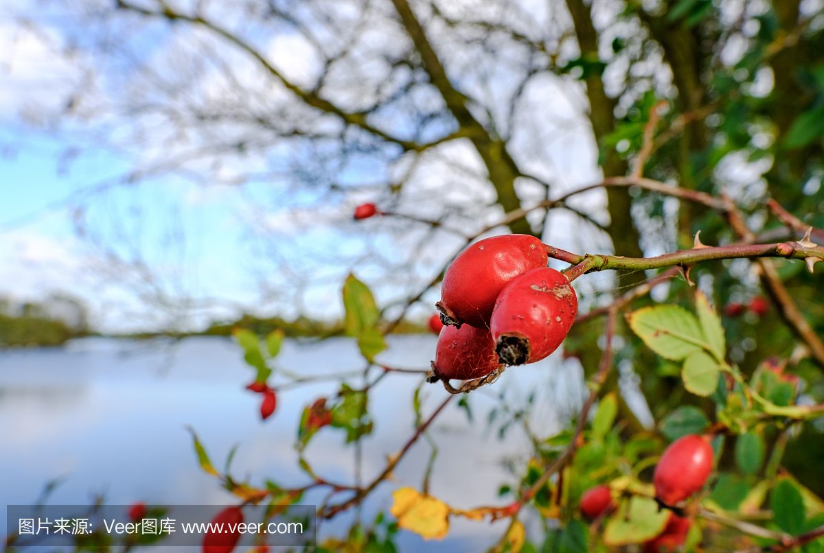 英格兰湖区,英国湖区,湖区,水平画幅
