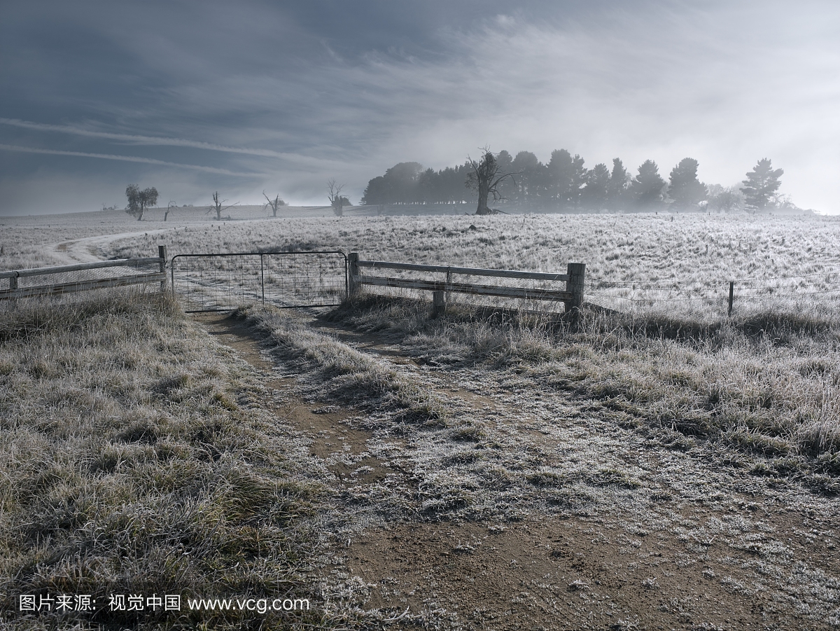 Country field with frost