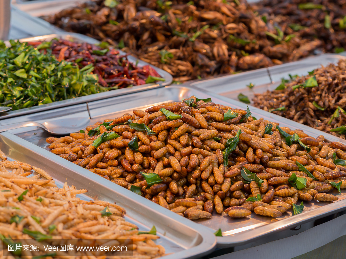 Fried insects. Exotic Asian food. Fried worms a