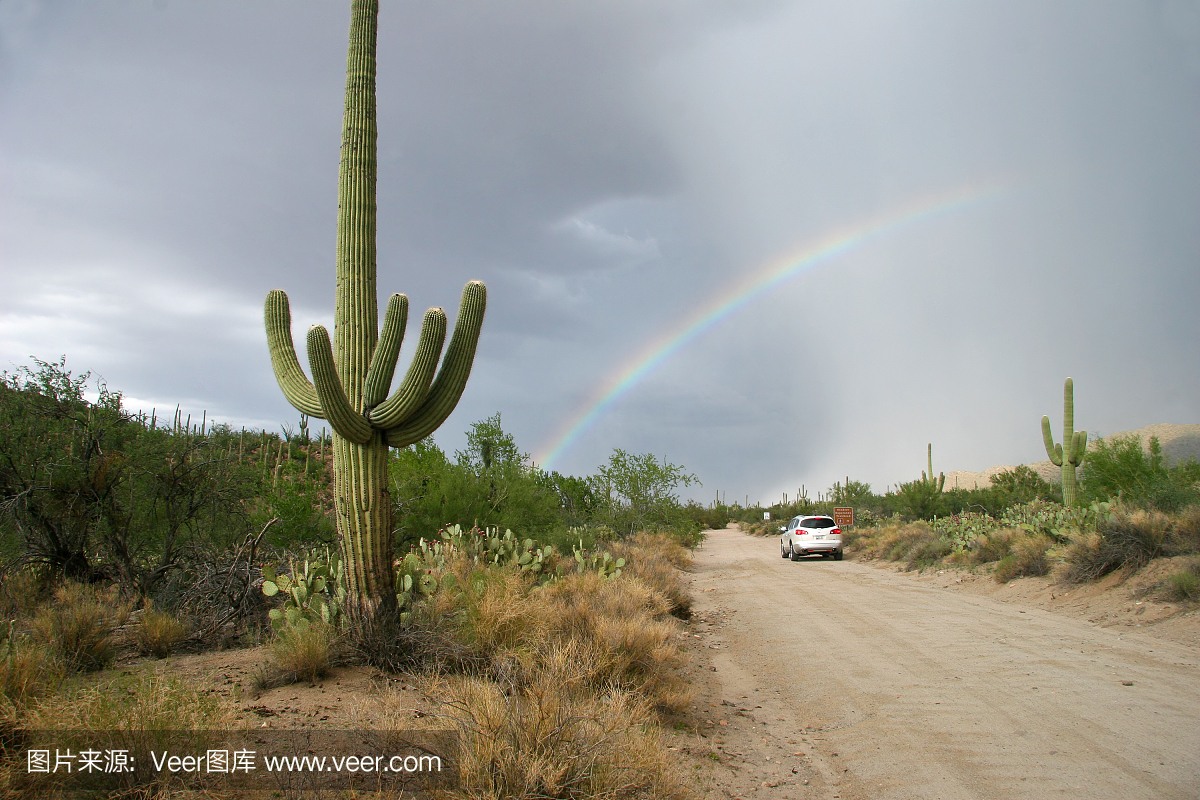 彩虹路在沙加鲁国家公园