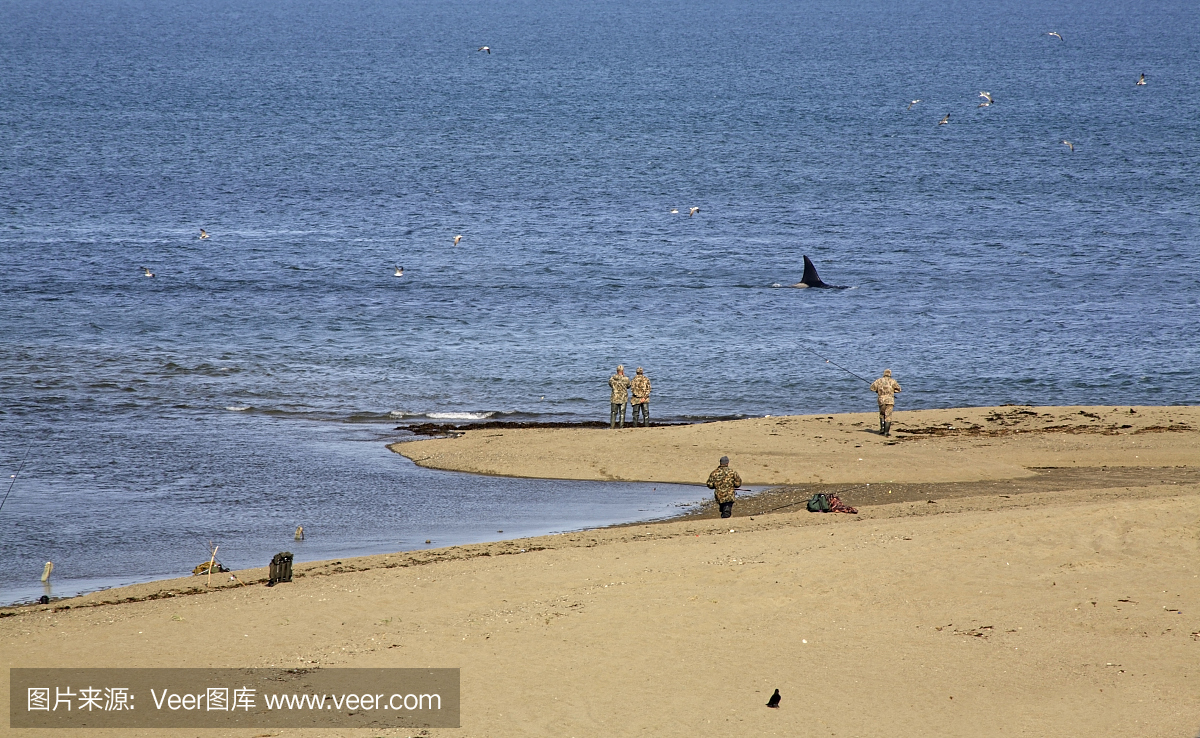 鄂霍次克海_鄂霍次克海海冰