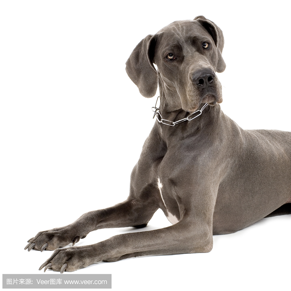 丹麦郡,丹麦人郡,戴恩县,丹麦县