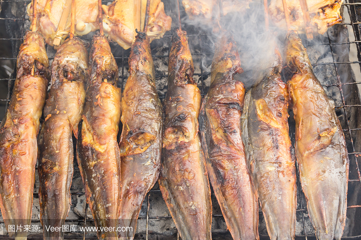 鲶鱼,线纹鳗鲶,鳗鲶,格子烤肉