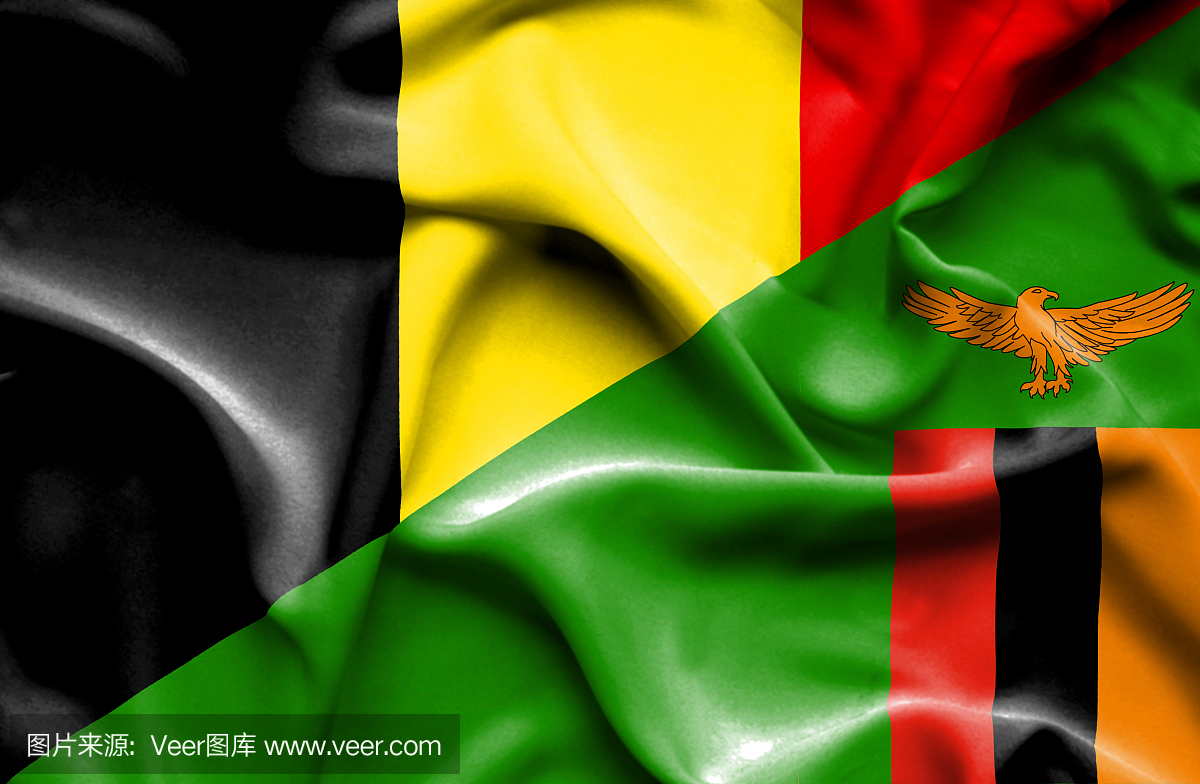 挥舞着津巴布韦和比利时的旗帜