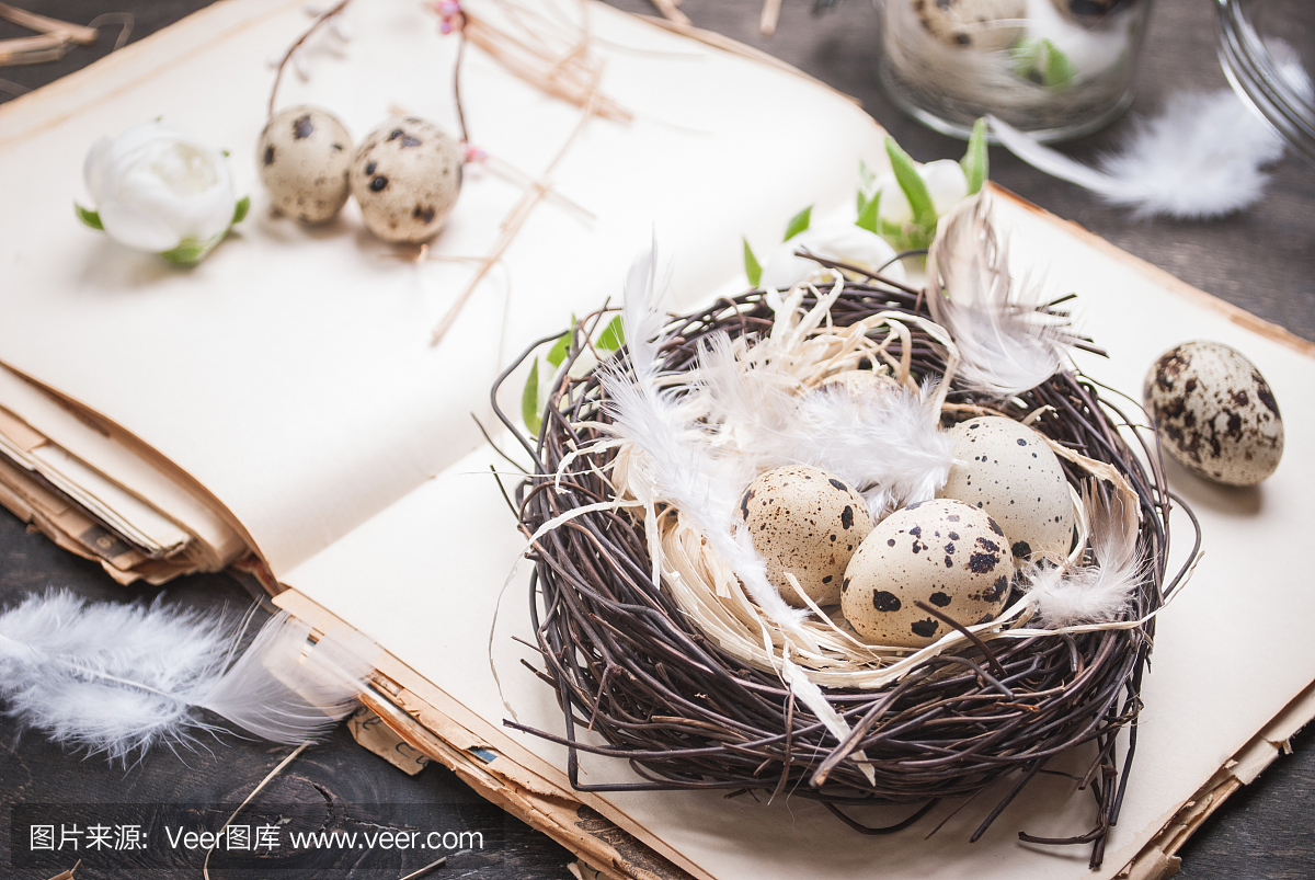 复活节菜品装饰新彩蛋的意见反馈表图片